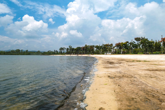 湿地公园沙滩海滩