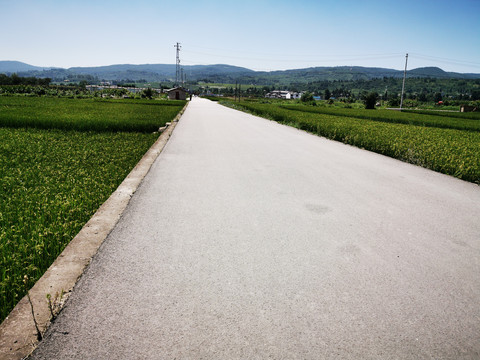 乡村道路