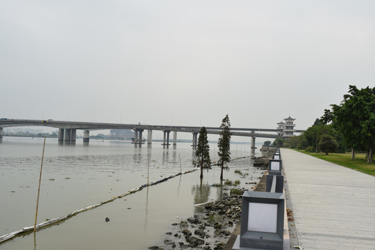 淡水河河岸