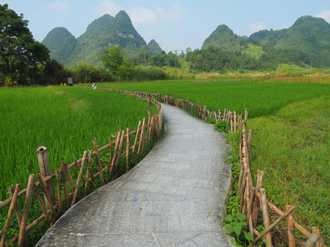 乡间小路