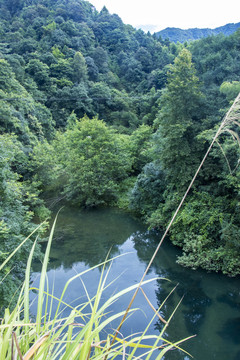 山中溪水