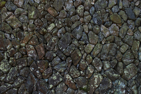 苔藓旧石墙