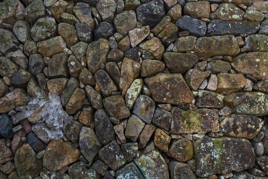 苔藓旧石墙