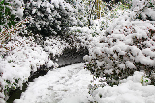 厚厚的雪地