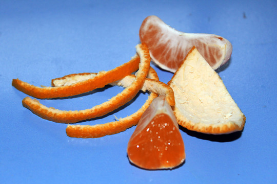 橘子剖析图