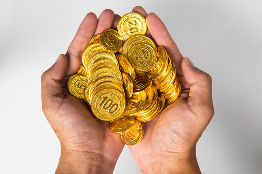 手捧金币