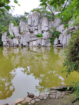 池塘假山