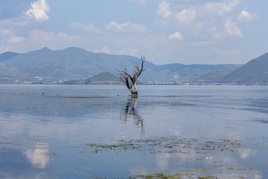 大理古生村风光