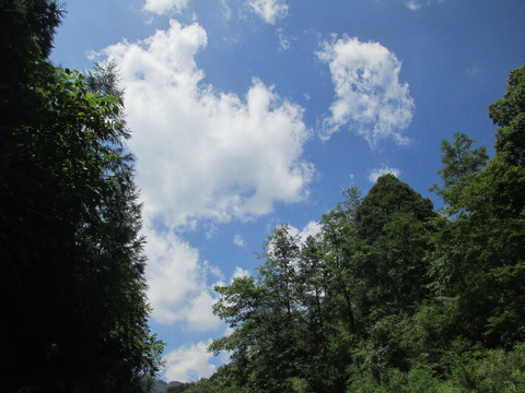 重庆武隆仙女山风景照