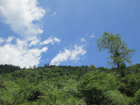 重庆武隆仙女山风景照