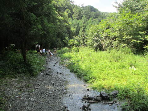 重庆武隆仙女山风景照