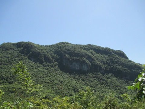 武隆仙女山风景区风景