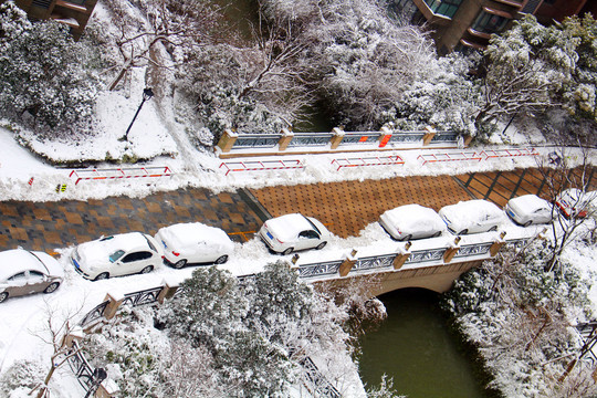 泰州的大雪