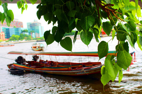 泰国木船