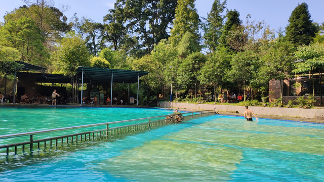 生态游泳池