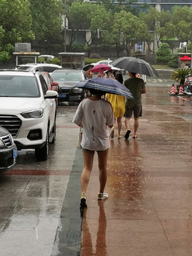 城市雨景