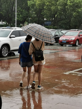 城市雨景