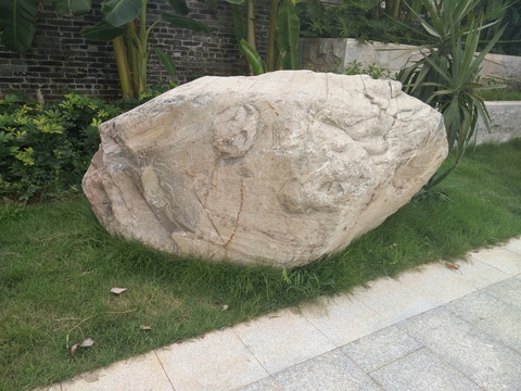 肌理
