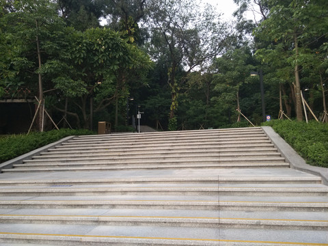 风景