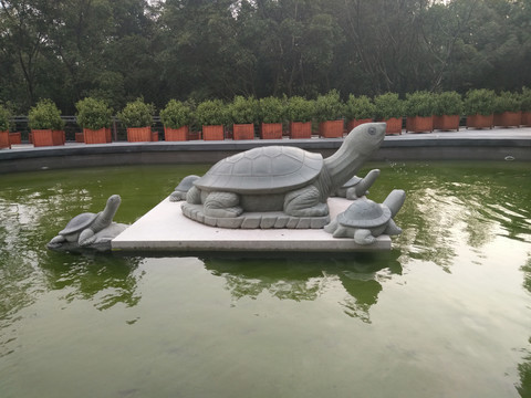 喷泉