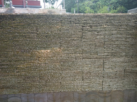 肌理