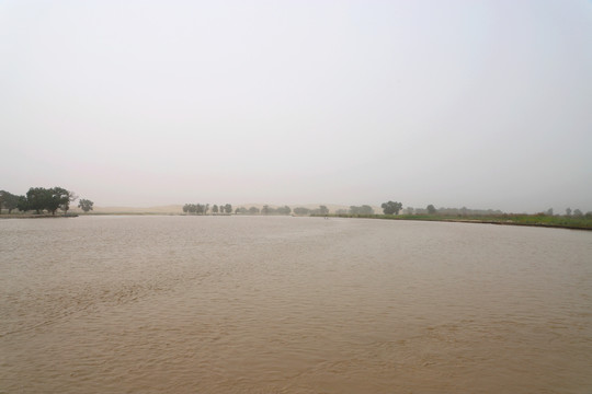 新疆塔里木河