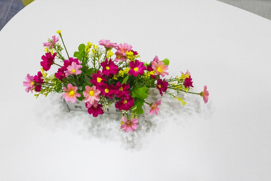 家居捧花