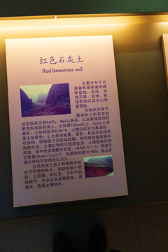 中国农业博物馆红色石灰土标本