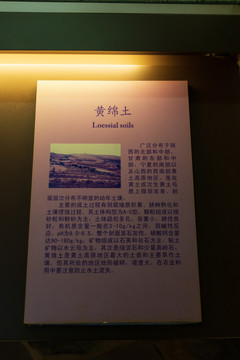 北京中国农业博物馆黄绵土标本