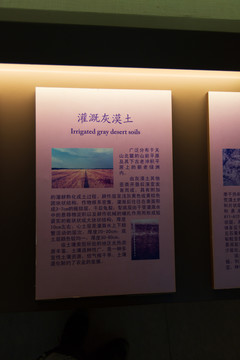 中国农业博物馆灌溉灰漠土标本