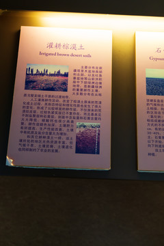 中国农业博物馆灌耕棕漠土标本