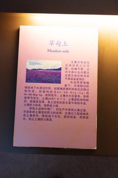 北京中国农业博物馆草甸土标本