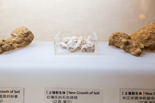 北京中国农业博物馆石灰结核标本