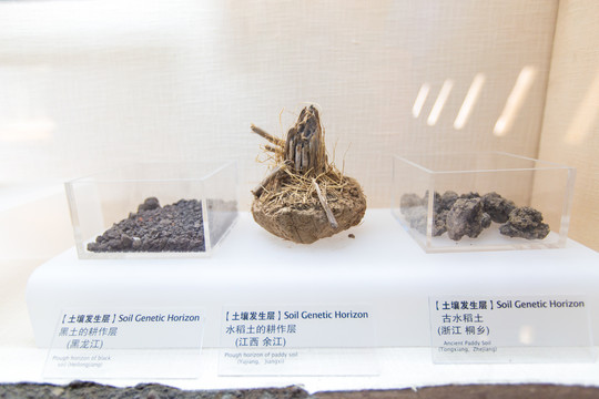 北京中国农业博物馆黑土标本