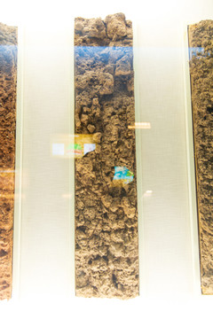 北京中国农业博物馆潮棕壤标本