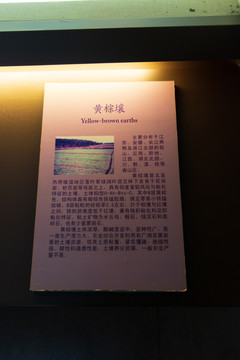 北京中国农业博物馆黄棕壤标本