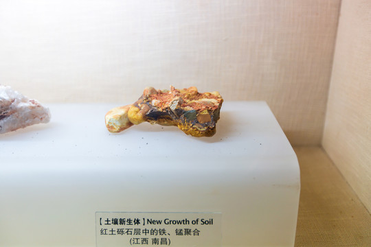 中国农业博物馆红土砾石