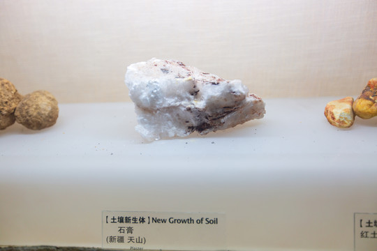 北京中国农业博物馆石膏