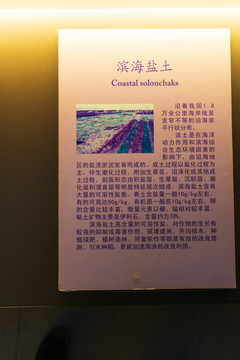 北京中国农业博物馆滨海盐土标本