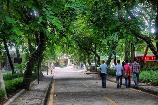 中山大学