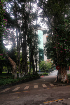 广州中山大学