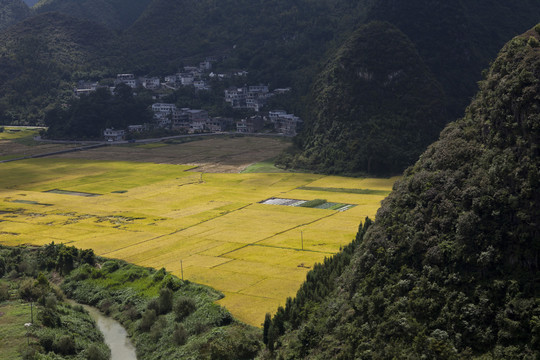 万峰林