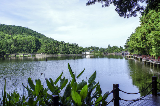 如琴湖