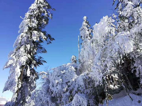 雪景