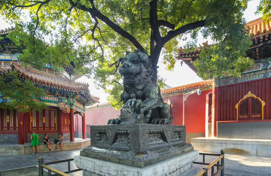 北京雍和宫铜狮