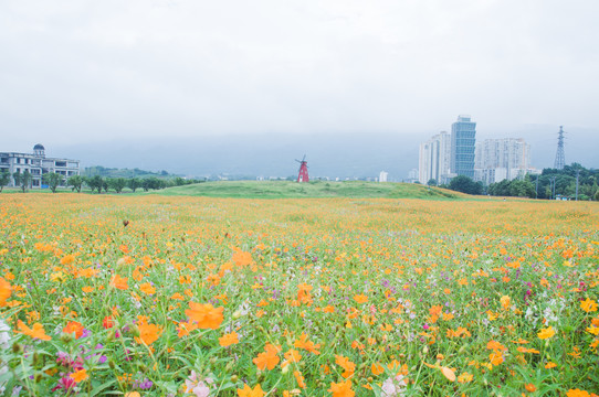 城市公园