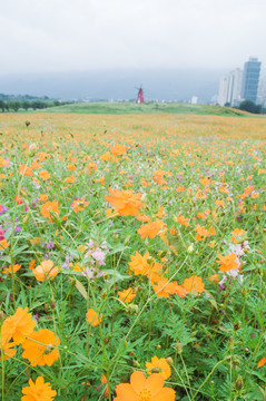 城市花园