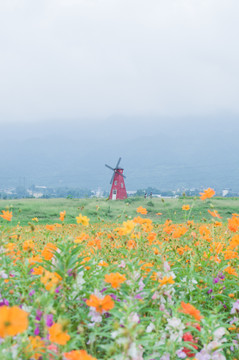 城市花园