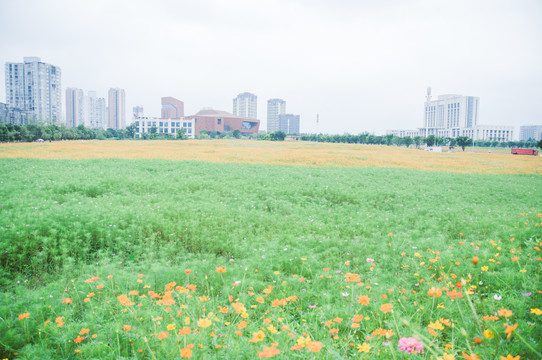 城市公园