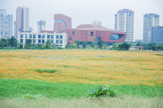 城市景观